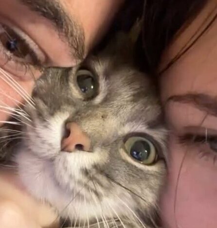 📸 ✨ 15. Quiet Devotion: Love That Grows in the Shadows 544