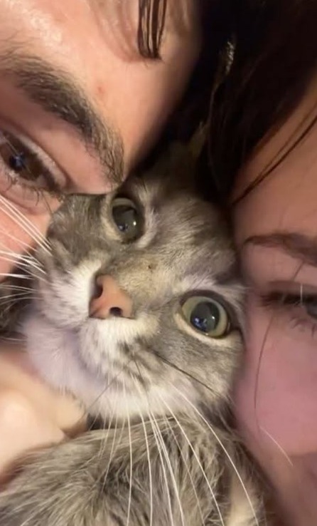 📸 ✨ 15. Quiet Devotion: Love That Grows in the Shadows 544