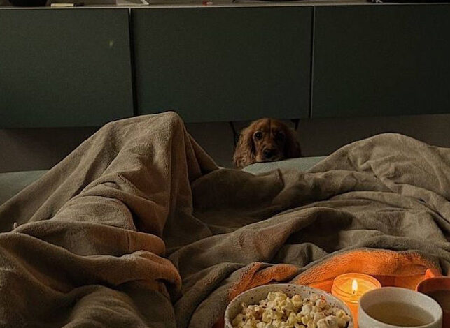 👁️ ♟️ 70 Most Pinned Date Night Ideas At Home Romantic Hacks You Have To Try Thi 951