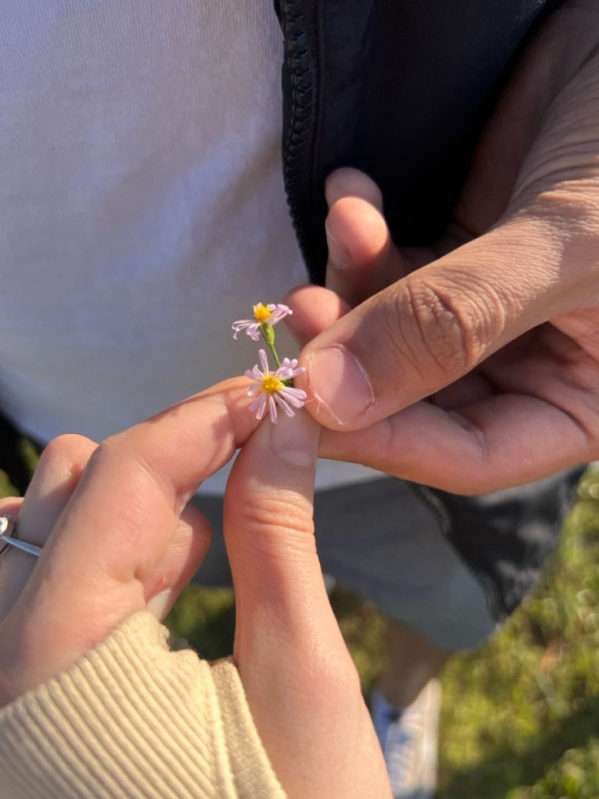 aesthetic mood booster: Heartwhispers: When Two Souls Align in Quiet Harmony 💋 128