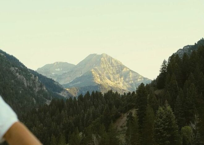 curated connection vibes: 🕸️ Lingering Shadow Soulmates: Discover Your Truest Ma 694