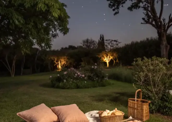 🦋 🧿 ⟡ Enchanted Evenings: 16+ Outdoor Date Nights for Soulful Connections 688