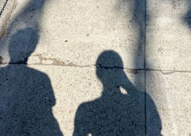 Fate-Driven Vision Board 2025 | Manifest Mind, Body, and Soul Harmony | 🕸️ ✒️ 🥀  357