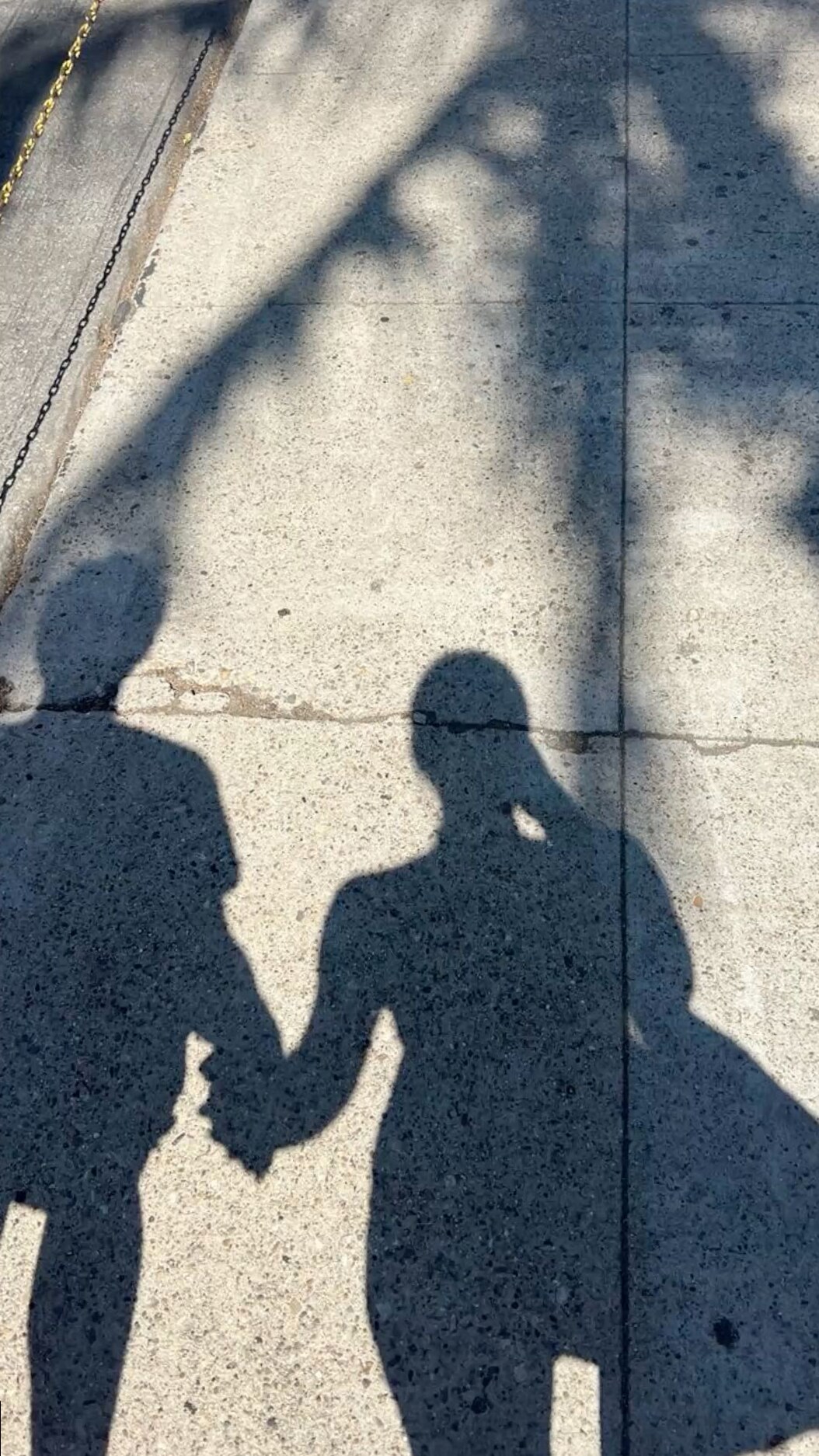 Fate-Driven Vision Board 2025 | Manifest Mind, Body, and Soul Harmony | 🕸️ ✒️ 🥀  357