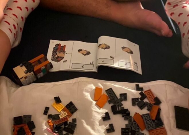 🌊 ☀️ Lego Love Language: Building Our Future Together | magnetic energy visual 580