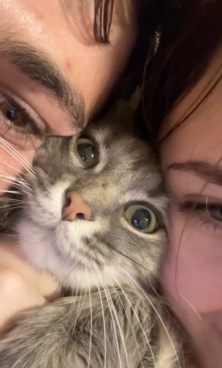 magnetic energy visual: 🖤 🥀 Ethereal Vows and Midnight Reverie 843