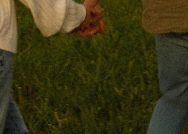 magnetic energy visual: 💫 🗝️ Fated Visions by @photosbyhaileys 565