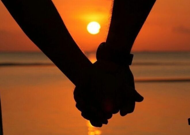 🤍 Soul-Connected Hands: Finding Harmony in Love | heart-to-heart energy 256