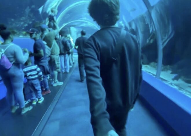 Soul Threads: When Hearts Align Beyond the Self — ☀️ 🌱 376