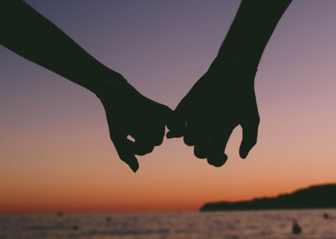 The Quiet Confidence of Compatibility 🏙️ 🖼️ 481