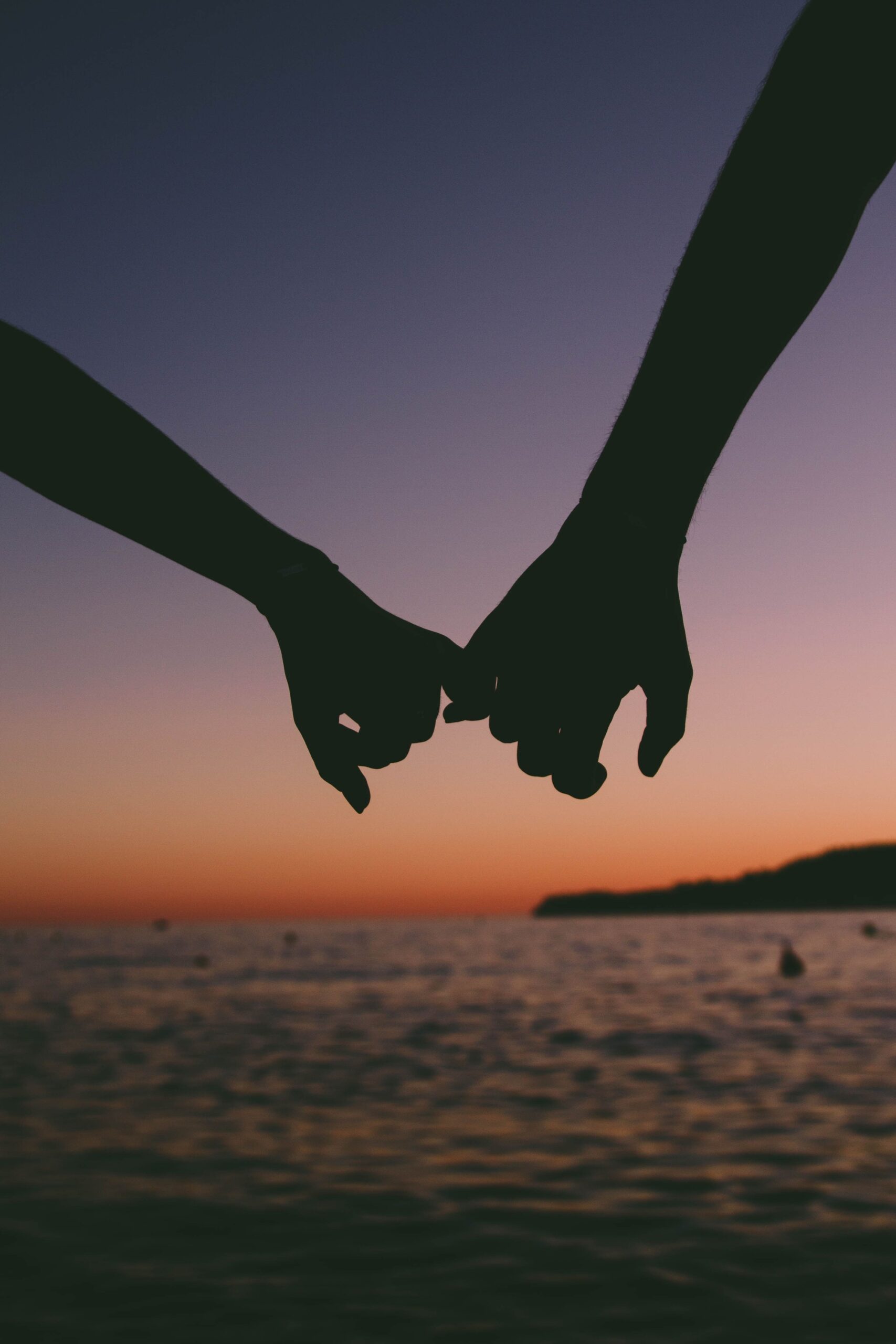 The Quiet Confidence of Compatibility 🏙️ 🖼️ 481