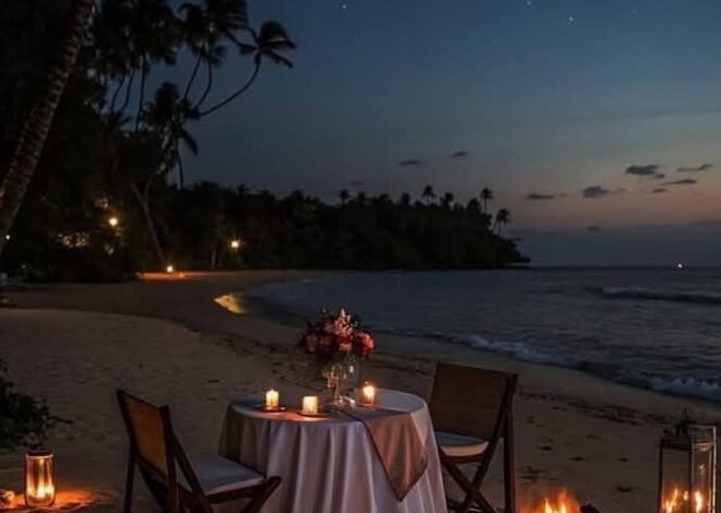 ✦ vibe check passed ✦ Private Beach Dinner Under Falling Stars 📸 ☕ 323