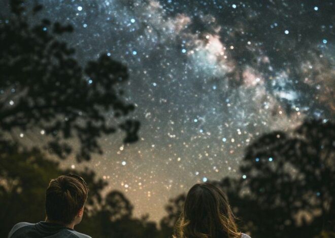 ⊹ 15 Charming Date Ideas to Spark Your Fated Connection ⊹ 🕸️ 🕸️ 801