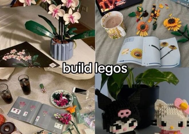 🧭 Build Legos With Your Soulmate Blueprint 889