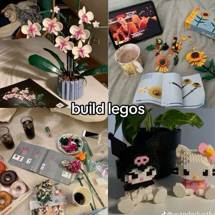 🧭 Build Legos With Your Soulmate Blueprint 889