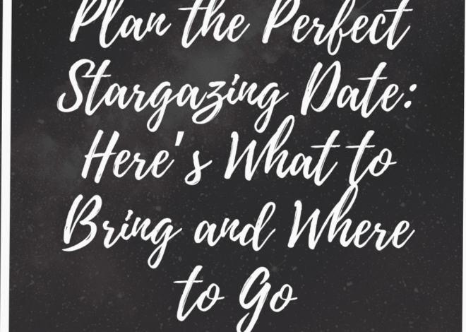 Celestial Companions: Essentials for a Fated Night Under the Stars ⟐ date night  823