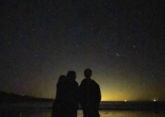 Celestial Companions: Finding Harmony Under the Stars — 🔮 💫 660