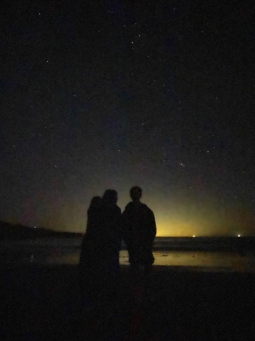 Celestial Companions: Finding Harmony Under the Stars — 🔮 💫 660