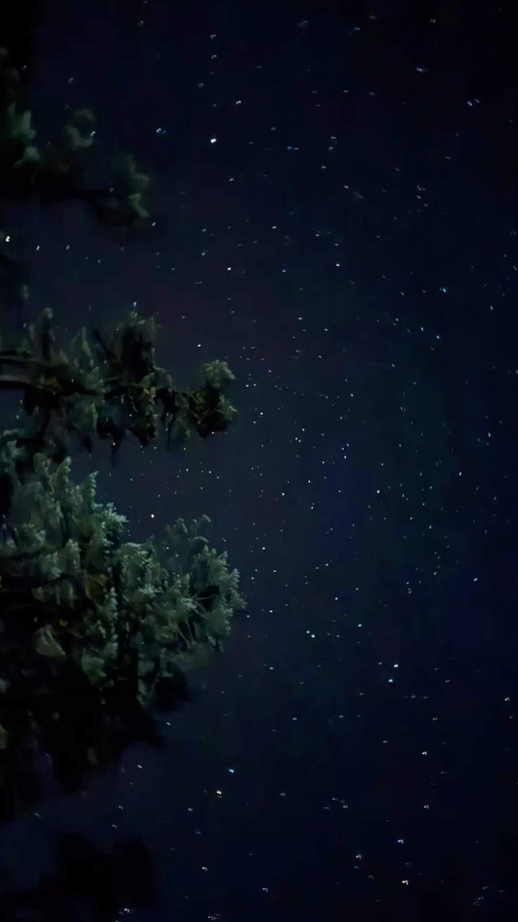 couple goals inspiration ✧ Celestial Soulmates: Align Your Stars, Align Your Hea 733