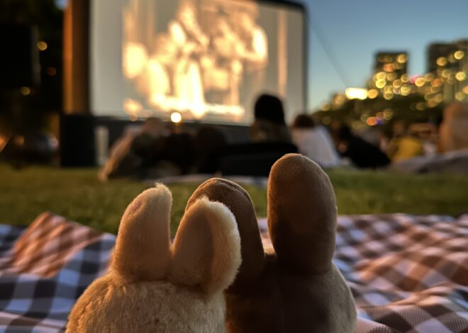 🤍 Destiny Unwinds: A Movie Night Designed for Soulful Matches | romanticizing yo 651