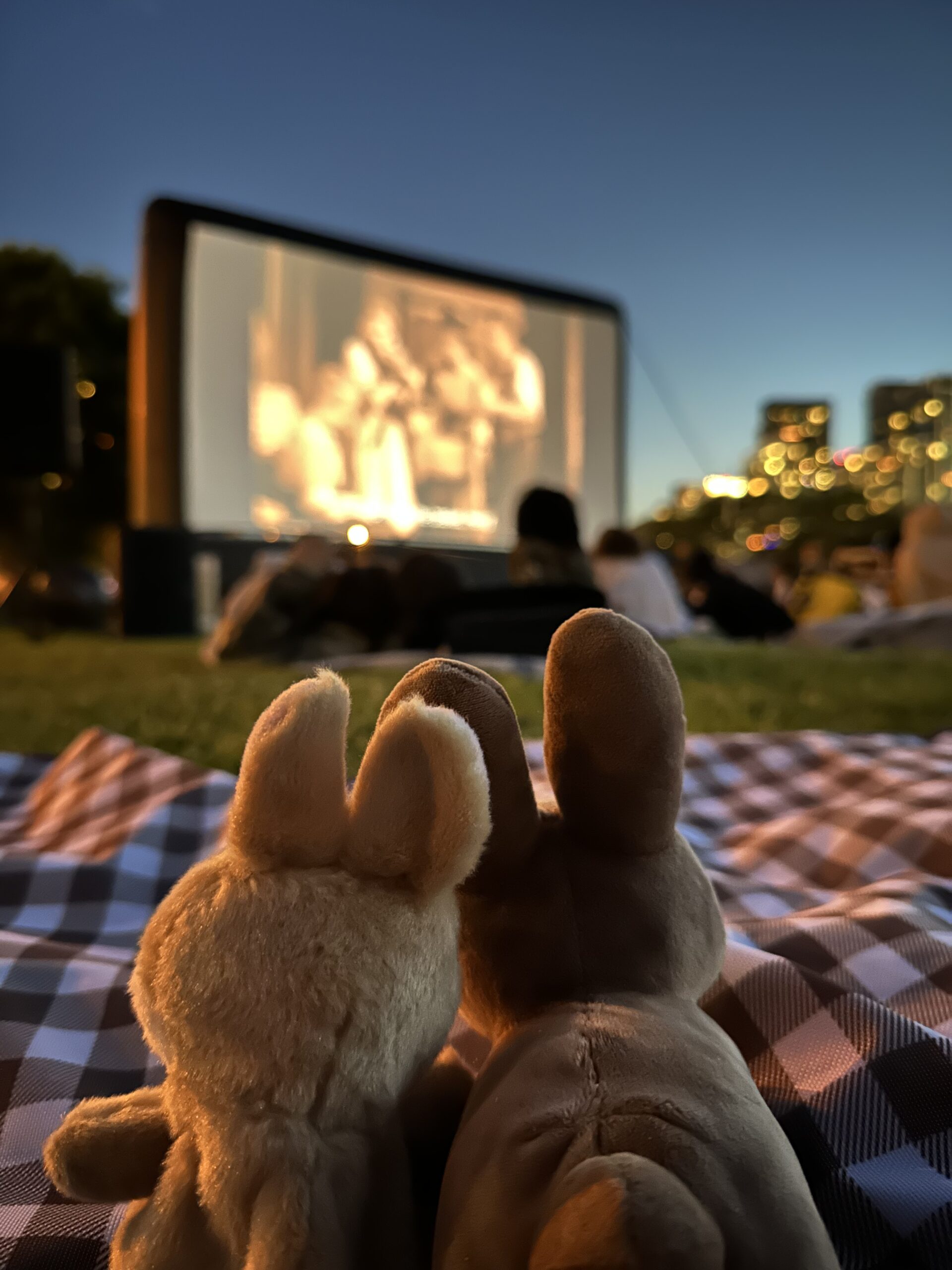 🤍 Destiny Unwinds: A Movie Night Designed for Soulful Matches | romanticizing yo 651