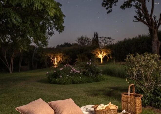Fate-Linked Evenings: A Soulful Encounter | 🤎 romanticizing your life 720