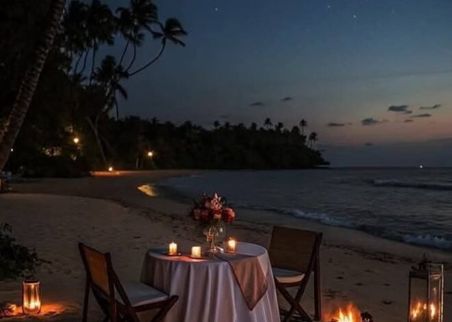 ⊹ Fate’s Private Beach Dinner Under the Moon ⊹ 🥀 🎬 815