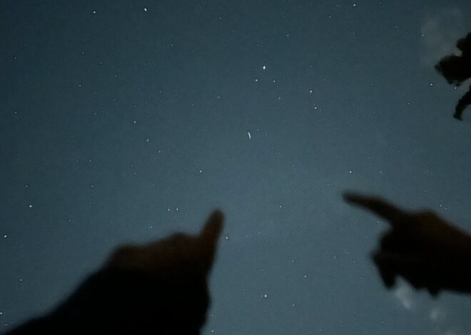 Fate Written in the Stars: Soulful Sky Nights — vibe check passed 🪴 📸 989