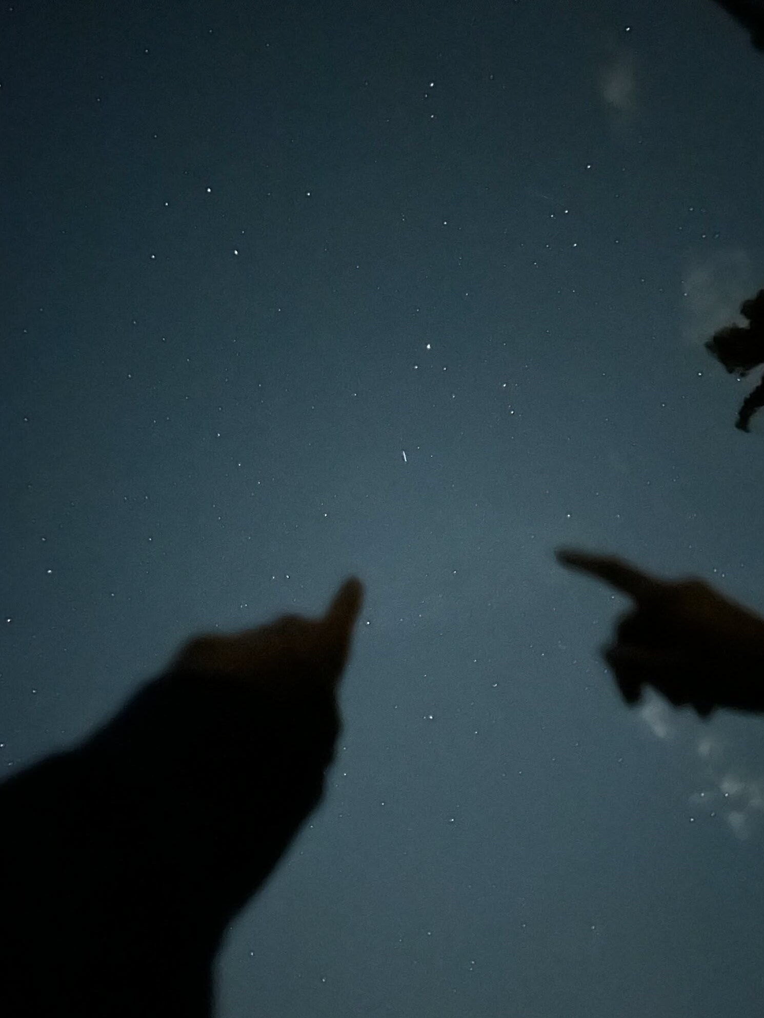 Fate Written in the Stars: Soulful Sky Nights — vibe check passed 🪴 📸 989