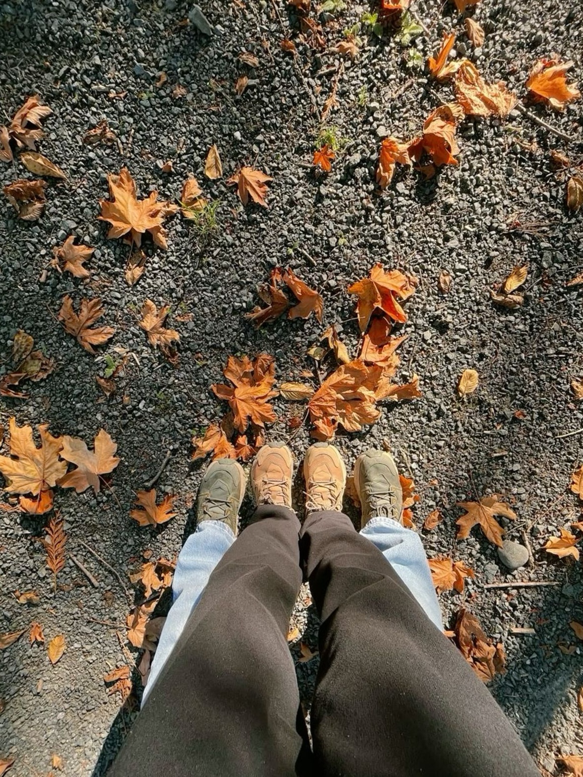 🤍 Fated Autumn Vibes: Matching Souls in Cozy Fall Elegance | poetry of falling i 882