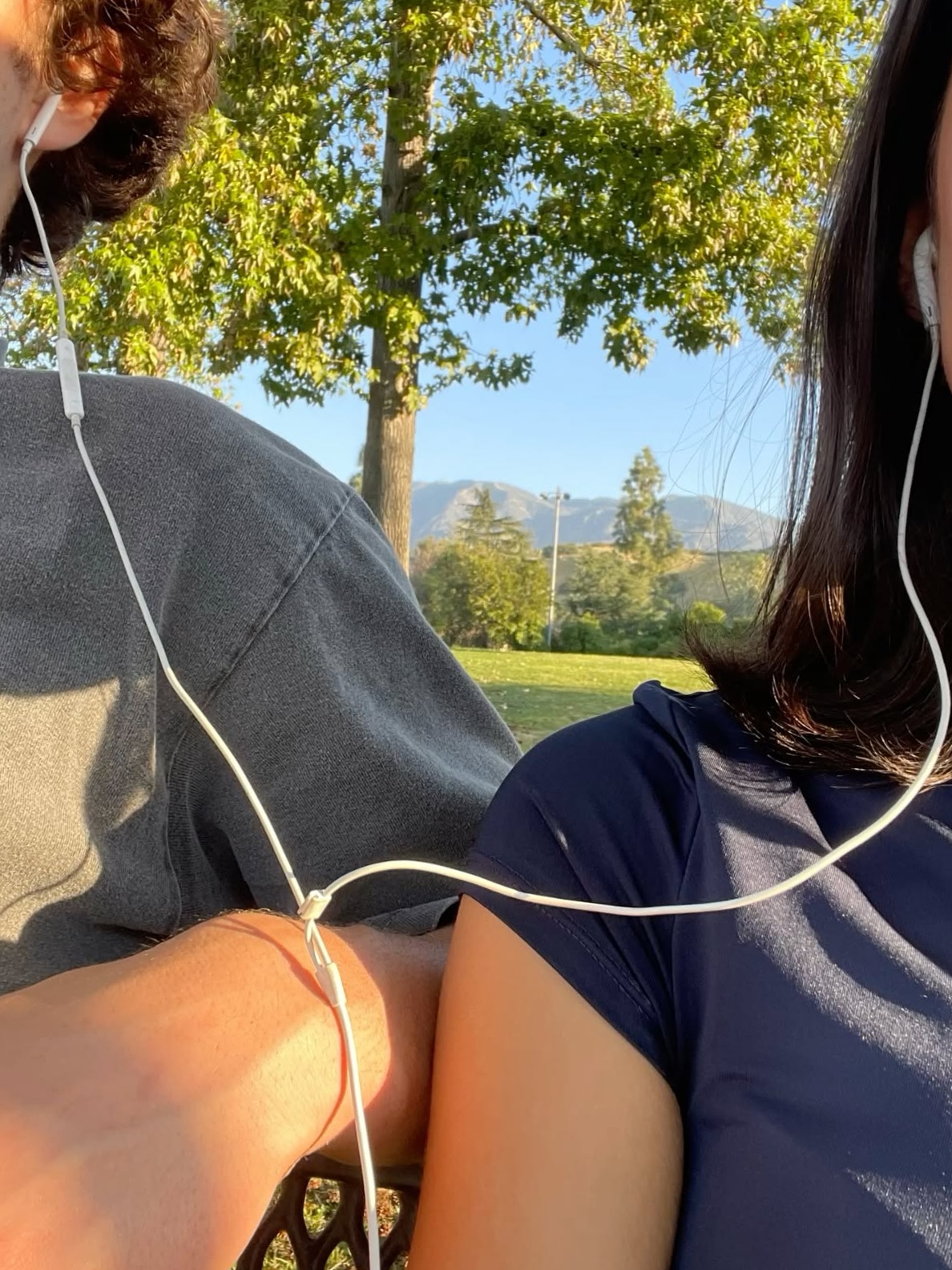 Fated Bonds And Quiet Hearts • 🎧 🎧 250