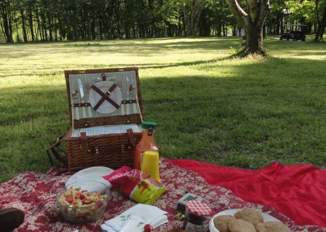 Fated Picnic Moments Under Spring Skies — 🍷 946