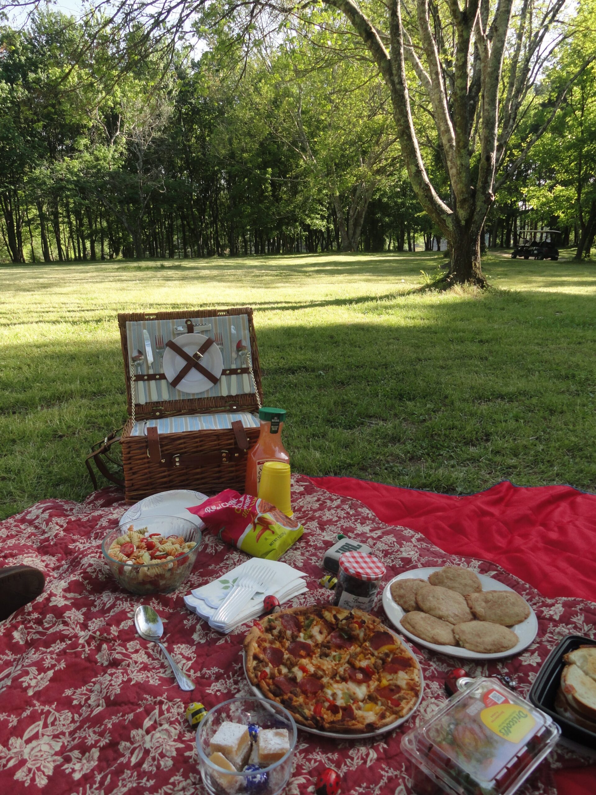 Fated Picnic Moments Under Spring Skies — 🍷 946