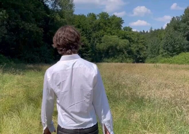 ⊹ Fated Summer Evenings Under Starlit Skies ⊹ ❤️‍🔥 🎻 668