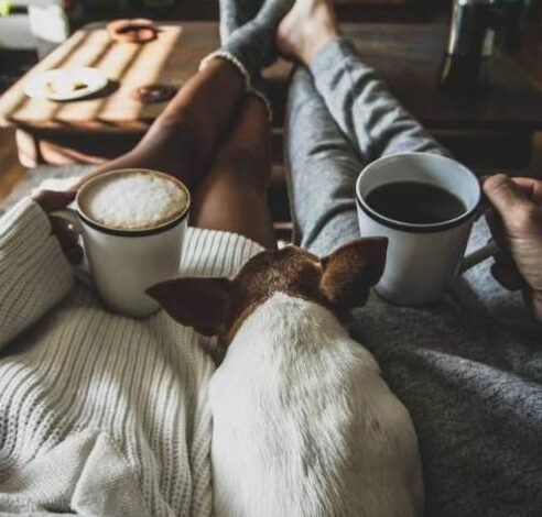 Finding Your Folk: Soulful Matches & Timeless Connection ⟐ soul deep aesthetic 221