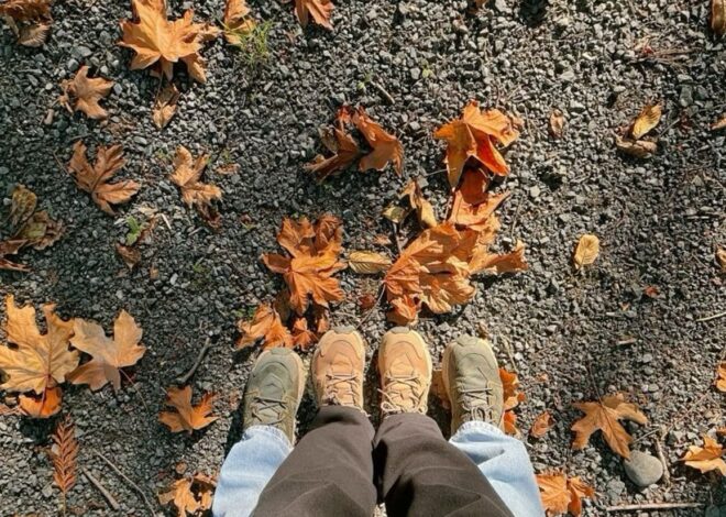 Golden Harmony in Autumn’s Gentle Embrace ⟐ couple goals inspiration 258