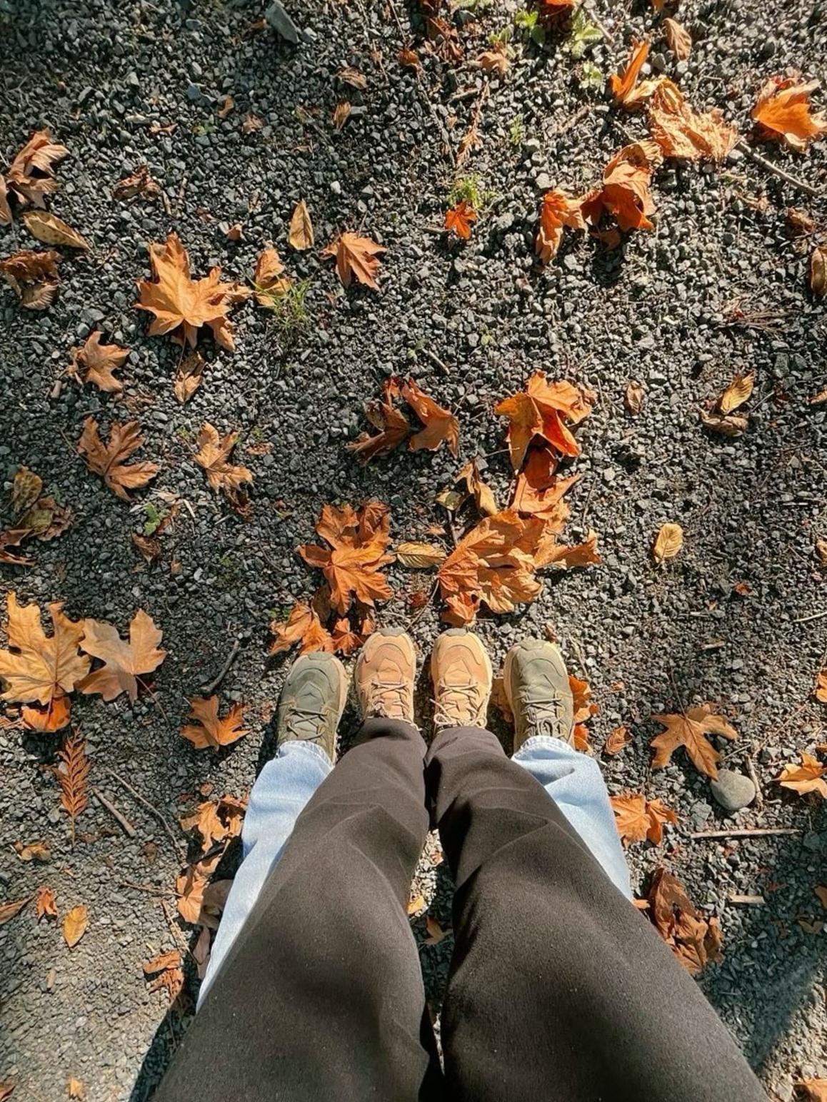 Golden Harmony in Autumn’s Gentle Embrace ⟐ couple goals inspiration 258