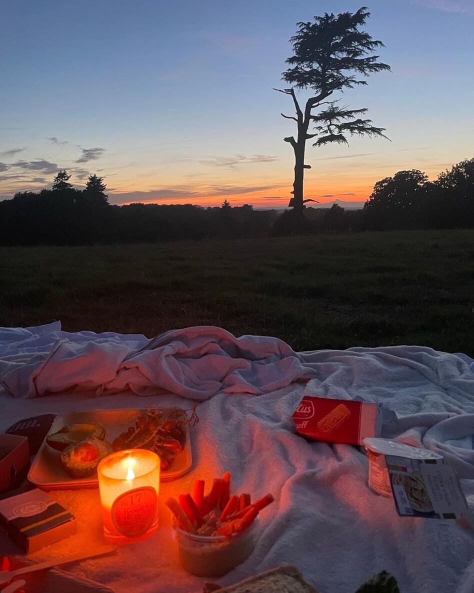 Golden Hour Harmony: A Picnic Under Fate’s Sky — hopeless romantic mood 🕊️ 861