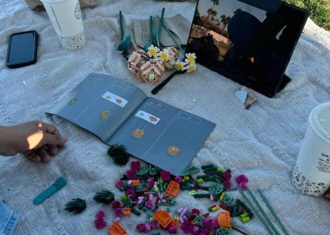 Lego Picnic in a Garden of Perfect Matches — daily aesthetic advice 💫 978