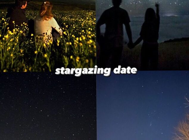 ✦ modern romance inspiration ✦ Fated Nights: Stargazing for Soulful Connections  783