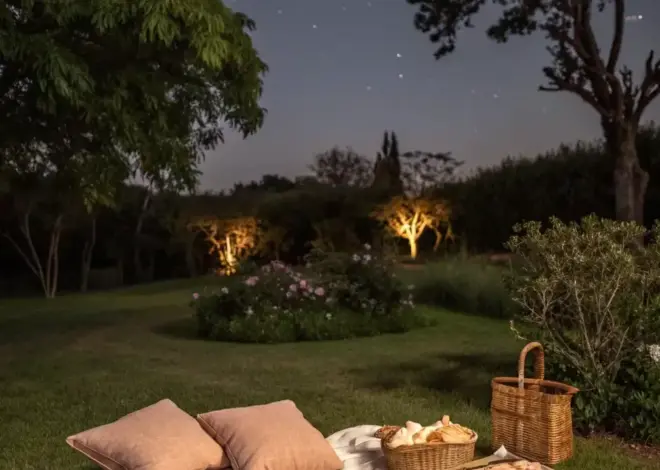 modern romance inspiration ✧ Finding You: 16+ Romantic Outdoor Evenings to Cheri 900