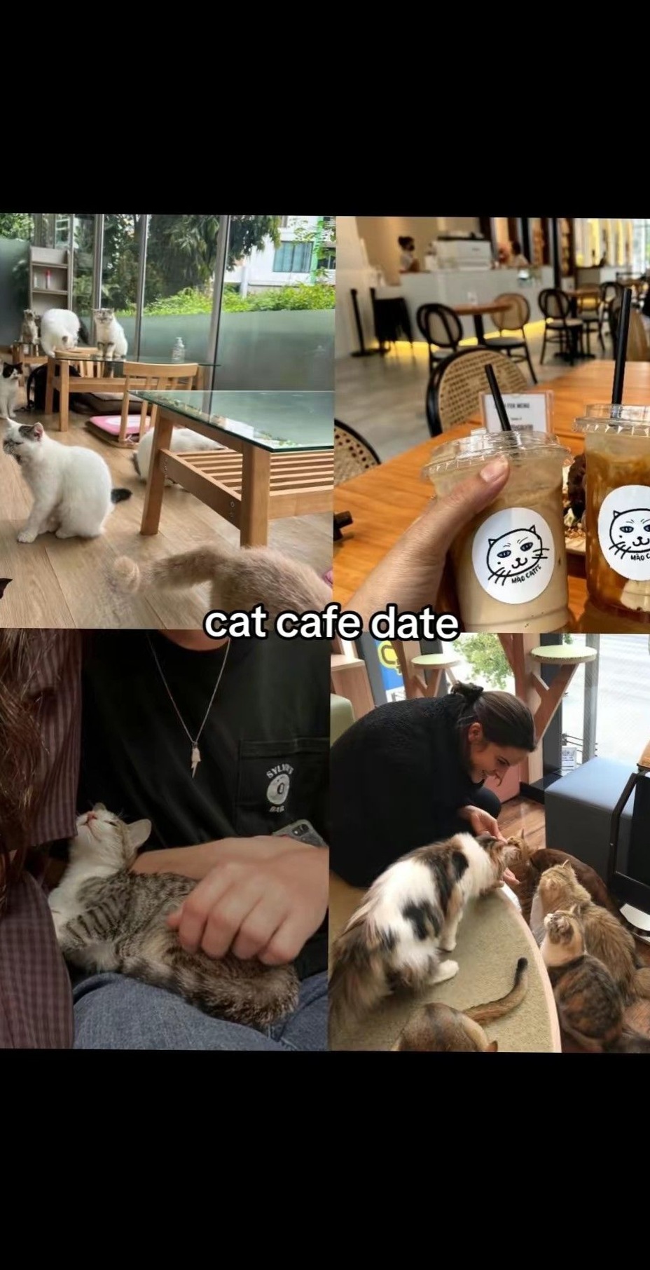 modern romance inspiration: 🤎 💕 Whisker-Warmed Moments: A Purrfectly Quiet Cafe  585