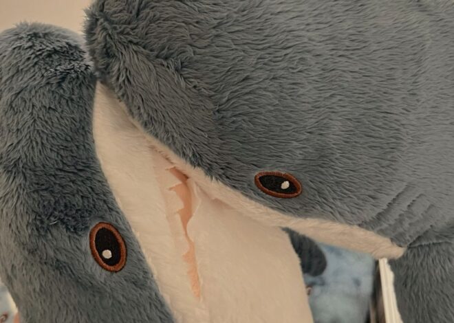 poetry of falling in love ✧ Ikea Date Night: Lesbian Sharks in Midnight Blue 🎬 251