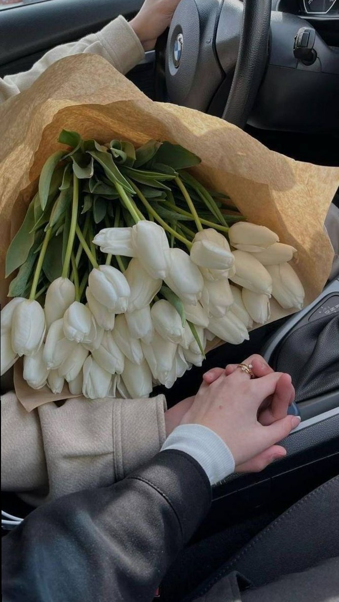 poetry of falling in love • Fated Hearts Find Their Perfect Timing 👁️ 316