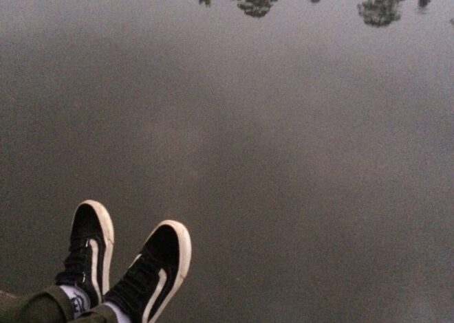 🦋 Private Moments Designed for Soul Alignment and Quiet Understanding 369