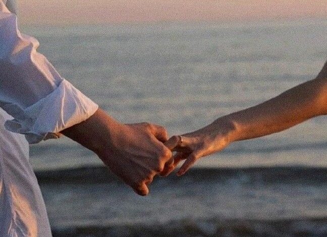 Psychological Harmony in Perfect Life Alignment | 🍂 🛋️ curated connection vibes 247