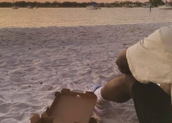 Serene Picnic Encounters and Soulful Connections — love language visuals 🧘‍♀️ 🌱 487
