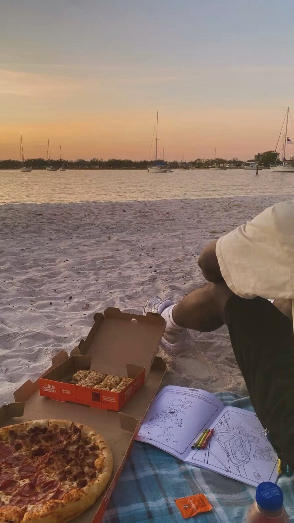 Serene Picnic Encounters and Soulful Connections — love language visuals 🧘‍♀️ 🌱 487