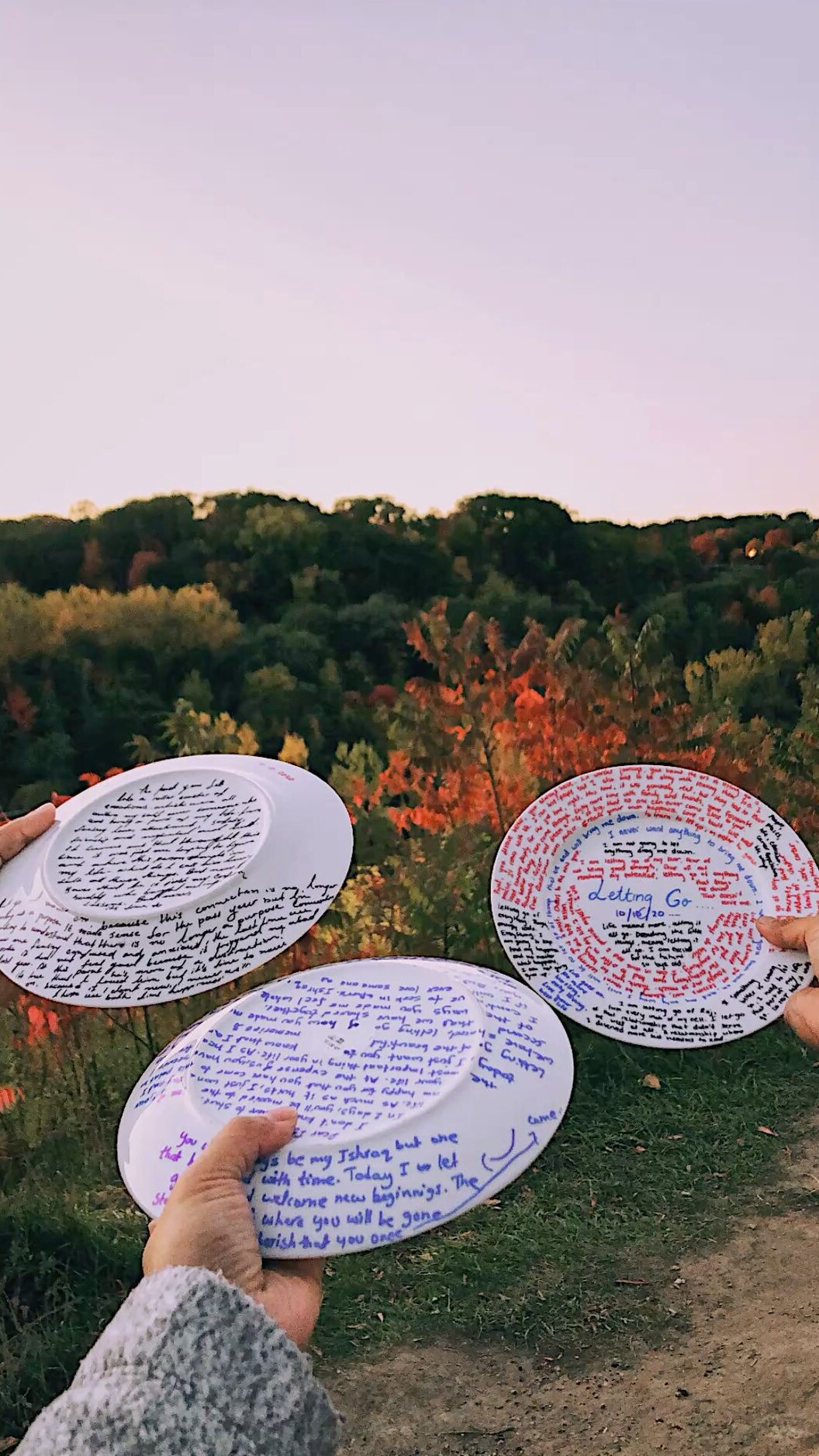 ✦ soul deep aesthetic ✦ Letting Go Plates | Finding Harmony in Soulful Matches 💕 132