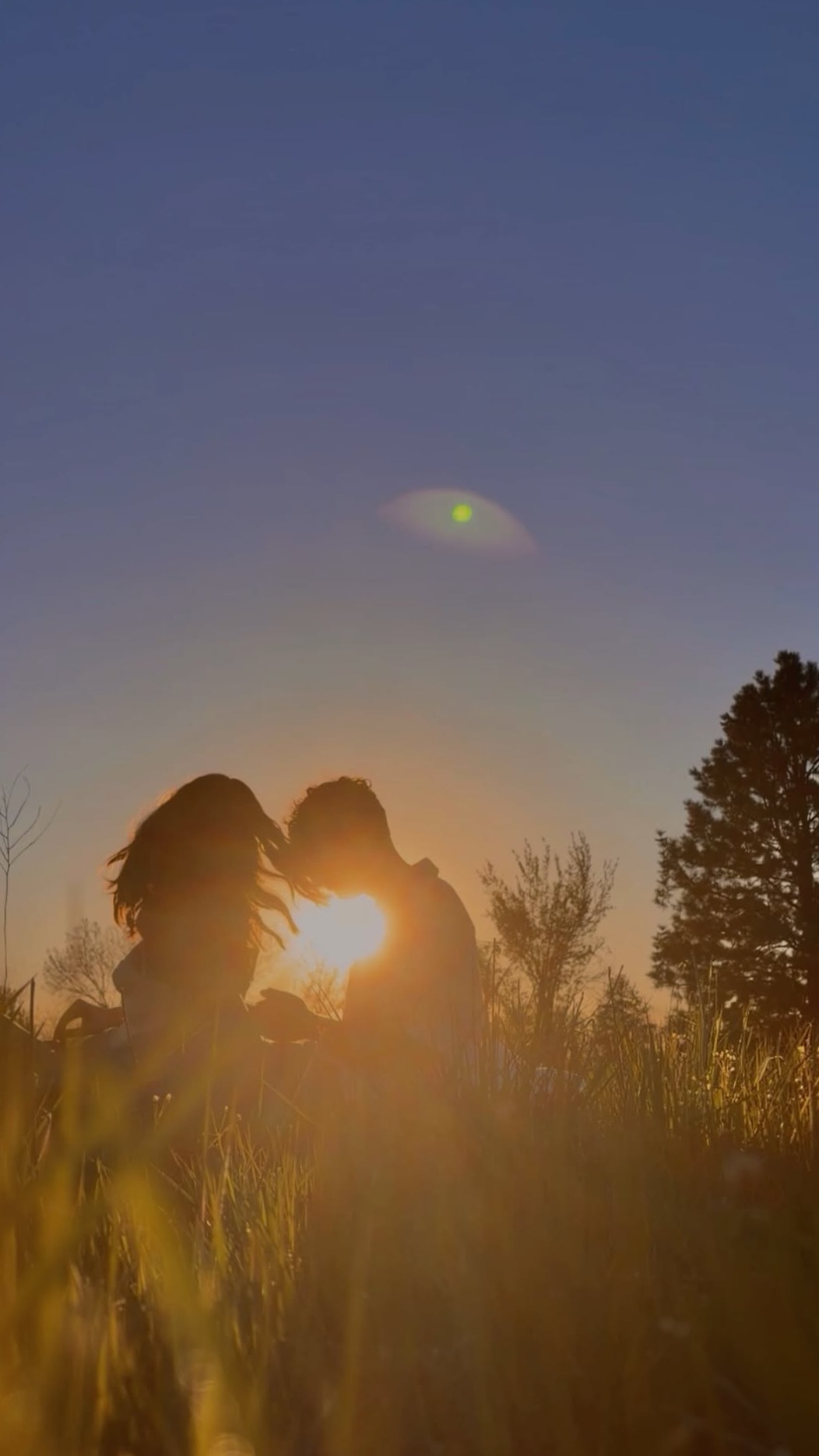 Soul-Linked in Sunlight: A Match Written in Starlight ⟐ mysterious soulmate ener 140